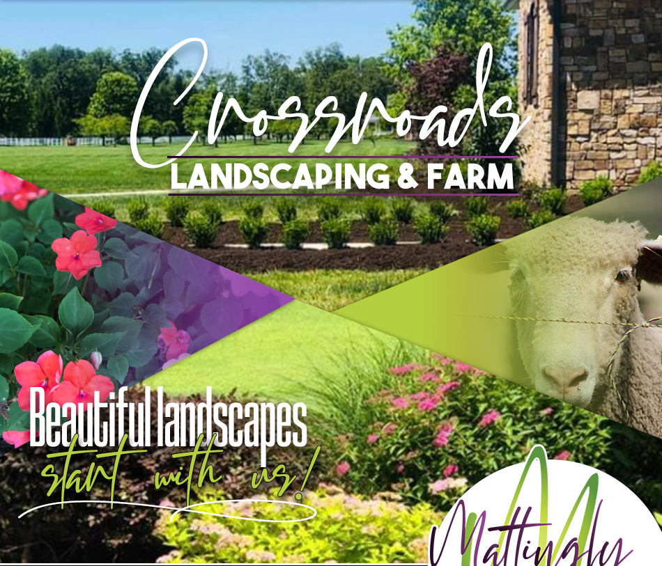 Crossroads Landscaping and Mattingly Livestock