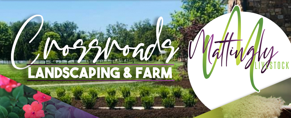 Crossroads Landscaping and Mattingly Livestock